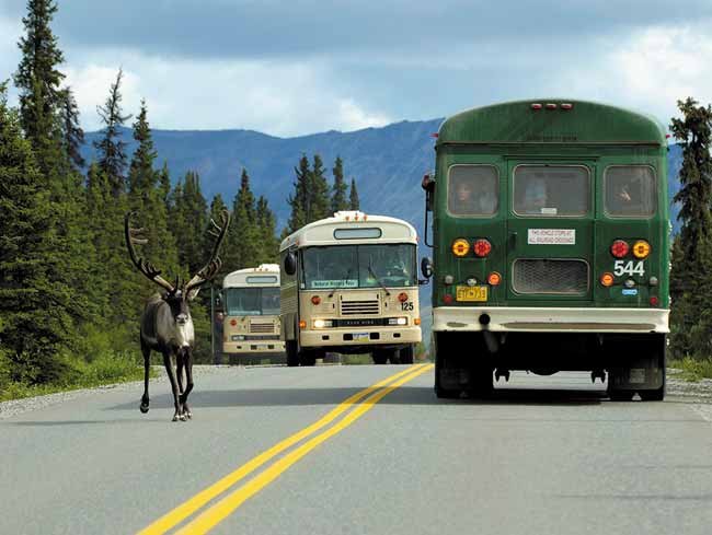 For the past quarter-century, millions of visitors have experienced Denali National Park and Preserve largely through the window of a 48-passenger bus.